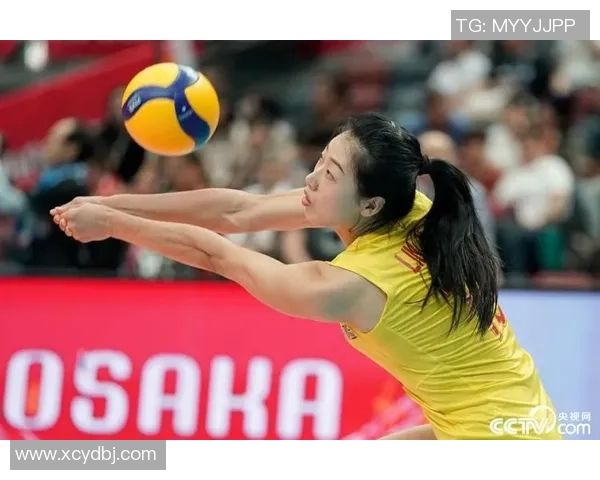 重庆排球队在世界杯预选赛中的逆袭之路与奋斗精神的完美结合